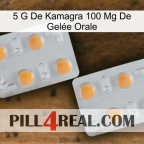 5 G De Kamagra 100 Mg De Gelée Orale 25